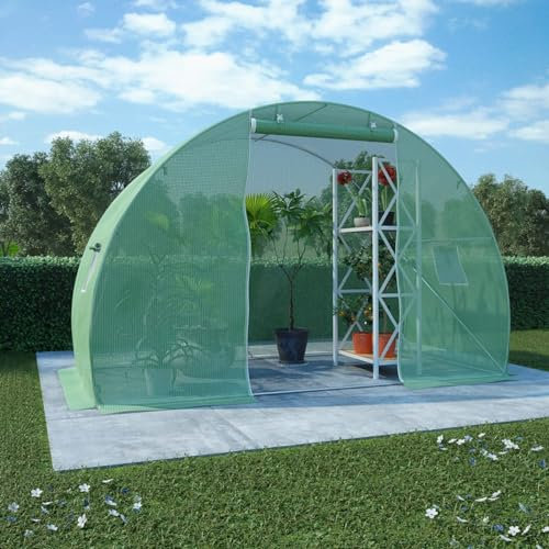 heybb Gewächshaus 4,5 m² 300x150x200 cm Bio Green üBerwinterungszelt GewäChshaus Klein ZimmergewäChshaus