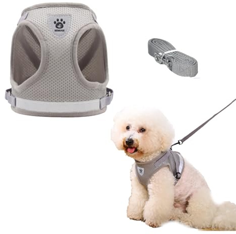 Katzengeschirr, weiche Katzenleine und -geschirr-Set, für kleine Katzen, ausbruchsicher, Katzengeschirre und Leine, ausbruchsicher, für extra kleine Hunde und Katzen (unter 1,4 kg)
