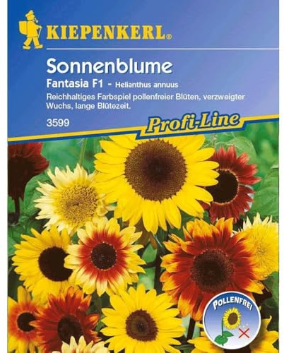 Sonnenblume 'Fantasia Mix', 1 Tüte Samen