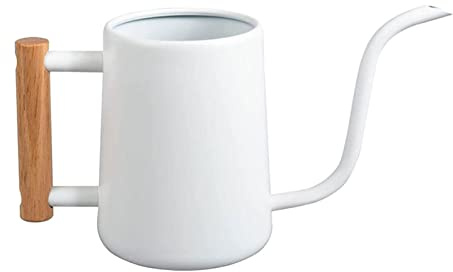 Supatmul Gießkanne für Zimmerpflanzen, 1000ml Weiße Gießkanne Kleine Für Pflanzen, Giesskanne aus Edelstahl Gießkanne Mit Langem Auslauf Und Komfortablem Holzgriff, Gartengeschenke Für Frauen