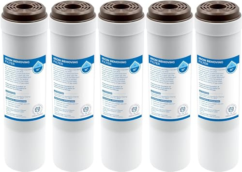 Filtre à bloc de carbone 10″ (4,5″) – filtre à eau potable au charbon actif pour boîtier de filtre standard – réduction du chlore, cartouche de rechange