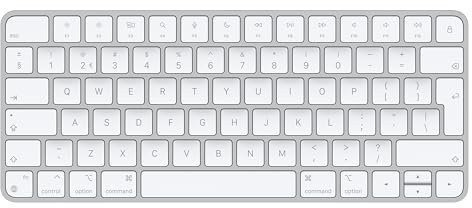 Apple Teclado Magic Keyboard: Recargable, con conexión Bluetooth y Compatible con el Mac, iPad y iPhone; Neerlandés, Plata
