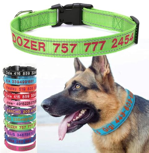 Personalisierte Hundehalsbänder mit Namen, besticktes Hundehalsband, Hundehalsbänder mit Namen und Telefonnummern (mehrfarbig, L: 2,5 x 42–60 cm)