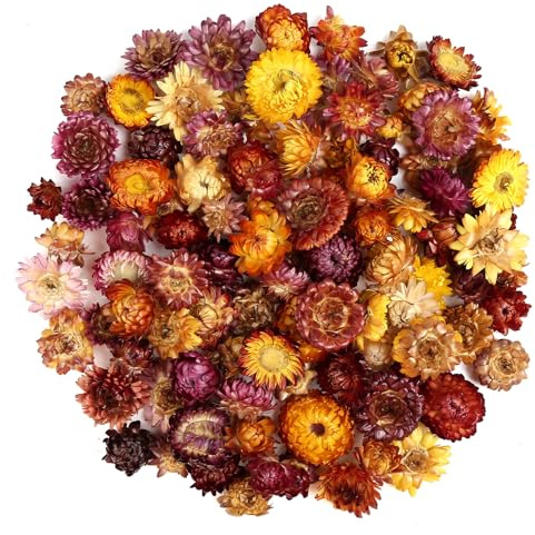 Ca. 150 Stück Getrocknete Blumenköpfe, Bunte Trockenblumen, Getrocknete Blumen, Trockenblumen zum Basteln für Zuhause, Büro, Hochzeiten, Partys, Bastelarbeiten