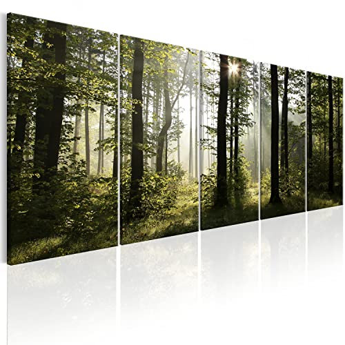 B&D XXL Acrylglasbild Wald 100x40 cm 5 Teilig Wandbild auf Acryl Glasbilder Kunstdruck Moderne Acrylglas Platte Wanddekoration Geschenke Heimdekoration Glasbild - Landschaften Natur Panorama Baume