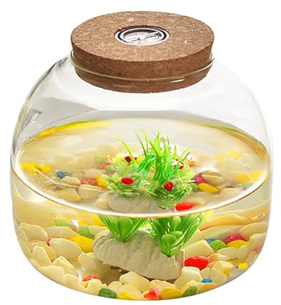 Terrarium en Verre pour Plantes, 1600 ML de Terrarium végétal avec Couvercle de liège, Grand Pot d'ouverture pour Mini Succulent dans Le Paysage, affichages Floraux, Collections d'artisanat et etc.