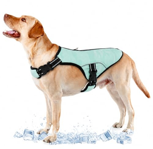 Hundekühlweste, Hundekühlmantel Verstellbare kühlende Hundejacke Hunderassen Saugfähige & Kühle Hundeweste für Sport Heißes Wetter Sommer(2XL)