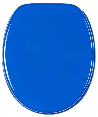 Sanilo WC Sitz mit Absenkautomatik, hochwertiger Toilettendeckel, einfache Montage, stabile Scharniere, Blau