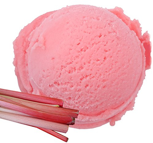 Rhabarber Dänisches Softeis Gino Gelati Eispulver Softeispulver Speiseeispulver (10kg)