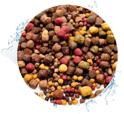 Warnicks Tierfutterservice Koifutter 3-6mm Spezialfutter 5-Sorten-Mix 10Liter