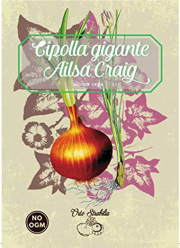 cipolla gigante ailsa craig,allium cepa,semi rari,semi strani, orto strabilia