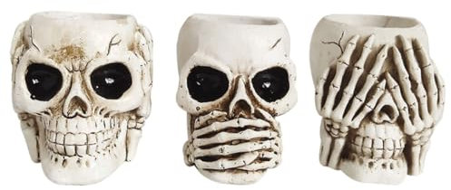 DIKACA 3St Halloween Dekoration Halloween-Dekoration blummentopf blumentopf blumenkübel Flower Pot goodn Decor Schädel Kaktus kleines Harz Sukkulente Pflanzen Büro Statue Kunstharz Weiß