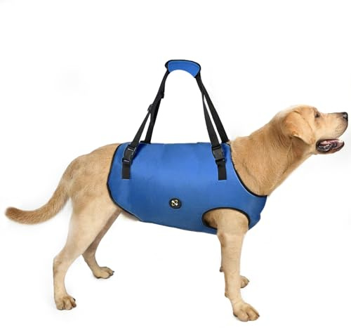Coodeo Hundeliftgeschirr, Haustierunterstützung & Rehabilitation Sling Lift Verstellbare Gepolsterte atmungsaktive Gurte für Alt, Gelenkverletzungen, Arthritis, Stabilitätsverlust Hunde(Blau, XS)