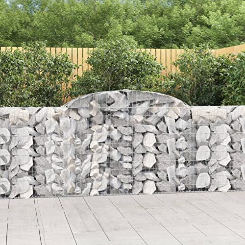 Tidyard Paniers à Gabions Arqués 2 pièce 300x30x100/120 cm Fer Galvanisé Mur à Gabion Clôture en Maille pour Jardin, Terrasse, Arrière-Cour, Extérieur
