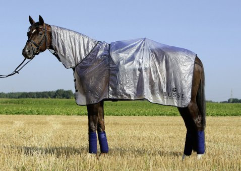BUSSE Transport-Regendecke EASY Rückenlänge 155 cm, transparent/navy