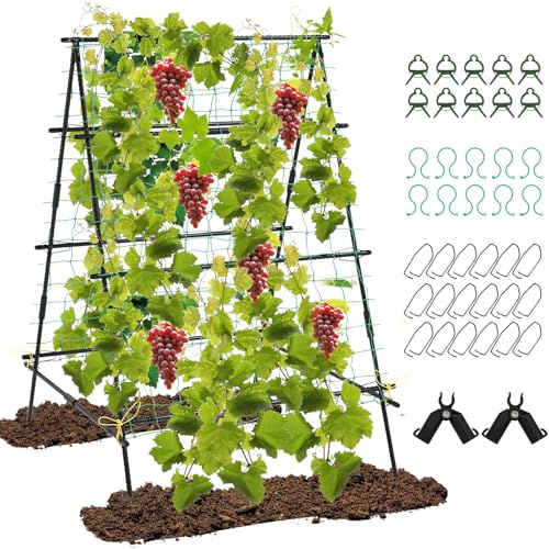 RELAX4LIFE Treillis pour Plantes Grimpantes en Forme A avec Tube Métallique | Support d'Escalade pour Vignes et Légumes avec Filet d'Escalade et Clips