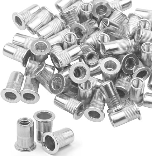 Dadi per rivetti M6, 100 pezzi, dadi per rivetti ciechi in acciaio inox, testa piatta, rivet dadi per metallo e pannelli di plastica