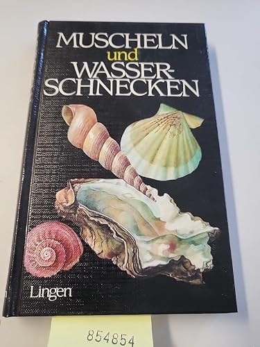 Muscheln und Wasserschnecken