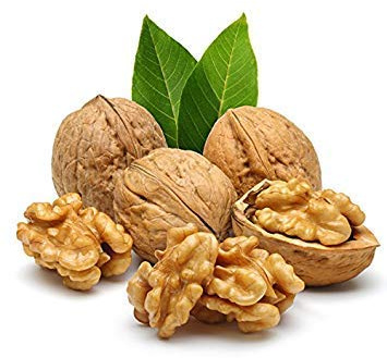 3 pz/borsa semi di noce sempreverde organico non-ogm delizioso frutto dado albero in vaso pianta nutriente per la decorazione del giardino