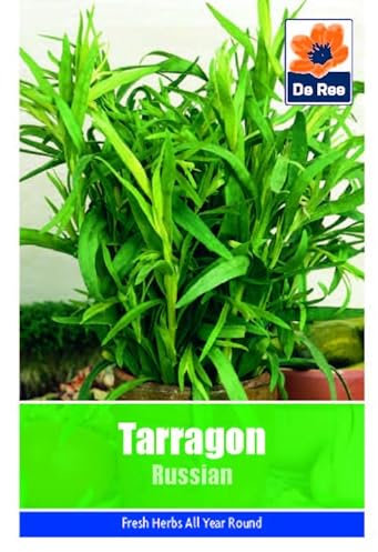 Vegetable Seeds for Growing Tarragon Russian 330 Seeds Grow Your Own Garden Vegetable Salad Herb Seed