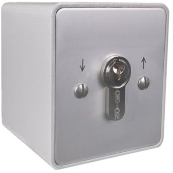 Schlüsselschalter rastend | aufputz | 2 Schaltelemente | 3 Schlüssel | Beschriftung Pfeile | APB 1-2R Ideal für Torantriebe Garagentor Schiebetor Garagentorschlater