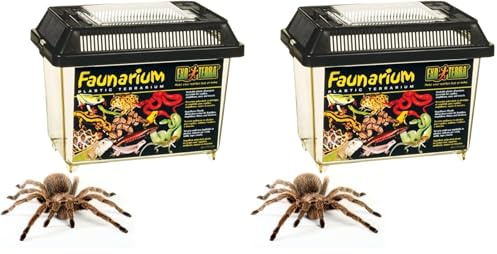 Exo Terra Faunarium Small PT2255 – Plastic Reptile Terrarium and Transport Container for Lizards, Spiders & Amphibians (Pack of 2)