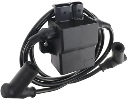 Bobine de contrôleur d'allumage for 700 2002-2004 et 600 03-04