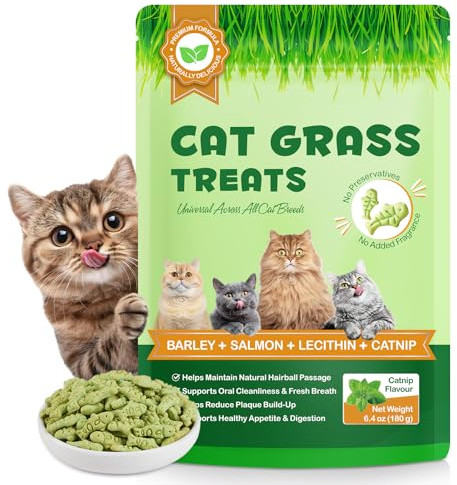 Cat Herb Snacks, Granules d'herbe de Chat lyophilisées, Jouets à mâcher comestibles, Hairball traite, Respire Frais, Convient aux Chats de Plus de Trois Mois