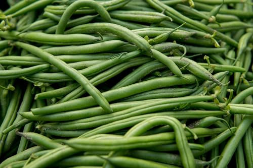 French Bean Climbing 'Blue Lake' by Country Value Vegetable Seeds