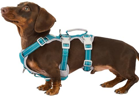 Huntboo Hundsele, Hundsele för bil och promenad, med vadderat handtag, justerbar väst för stora hundar Walking, Training och Running Gear