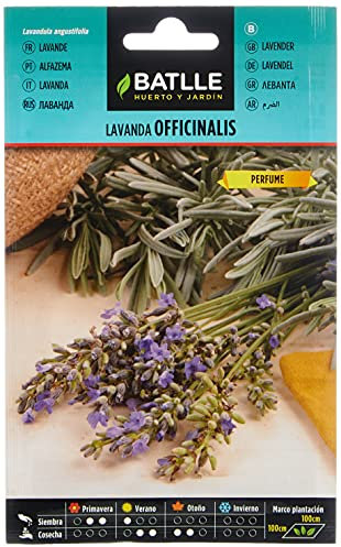 Battle - Semi Aromatici Lavanda Officinalis (Semi - 40Cm)