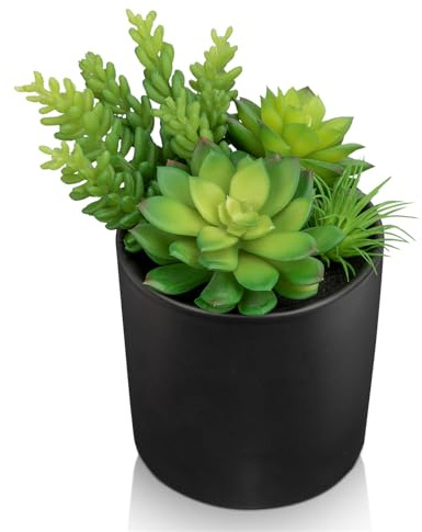 Oairse 19cm Artificial Succulents in Pots Faux Succulents Plants Fake Succulent Arrangement Potted Plants with Black Ceramic Vase for Office Desk Bathroom Shelf Living Room Indoor Home Decor
