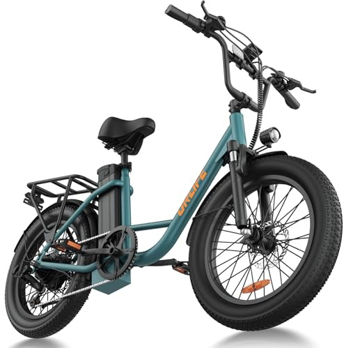 URLIFE Electric Bikes for Adults, 20 Fat Tire E Bike with 7 Speed, 48V 13Ah/15.6Ah Removable Battery, 250W Motor Ebike with Colorful LCD Display for Adults