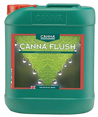 Canna 06-255-170