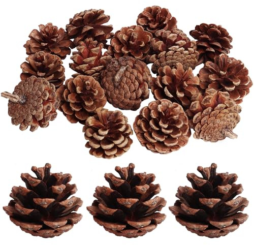 SBYURE 20 Pack 2.4 Inch Pinecones Bulk Package of Natural Pinecones Pine Cones for Crafts Home Decor Vase Filler