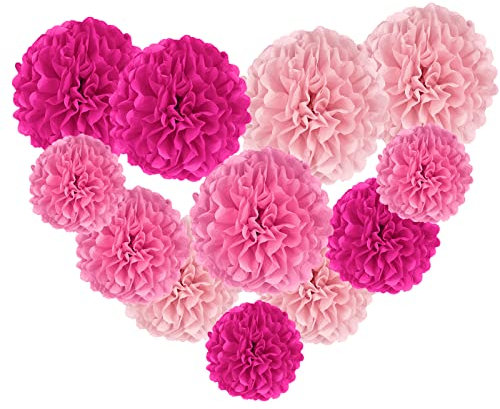 12 Pcs Decorations Tissue Pom Poms Kit, Pink Tissue Paper Flowers Balls Ceiling Hanging Decorations for Birthday, Baby Shower, Graduation, Wedding, Engagement Party Decorations