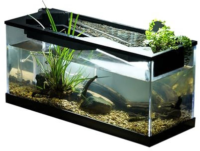 Mini Aquarium avec Pompe à oxygène – Habitat de Poisson en Acrylique Transparent, réservoir de aquaponiques | Écosystème filtré de Table, récipient Compact pour Tortue et crevettes, Design