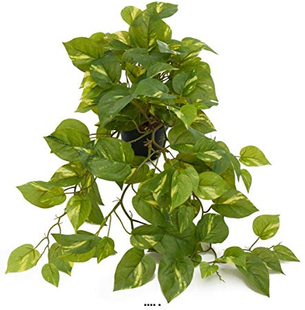 Artificielles.com - Pothos artificiel retombant en pot, L 55 cm