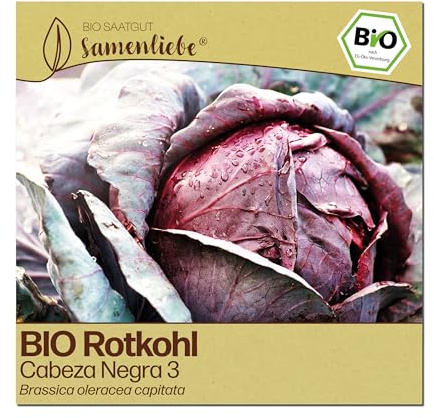Samenliebe BIO Rotkohl Samen | Rotkraut Cabeza Negra 3 - dunkelrot & winterhart - samenfestes BIO Saatgut