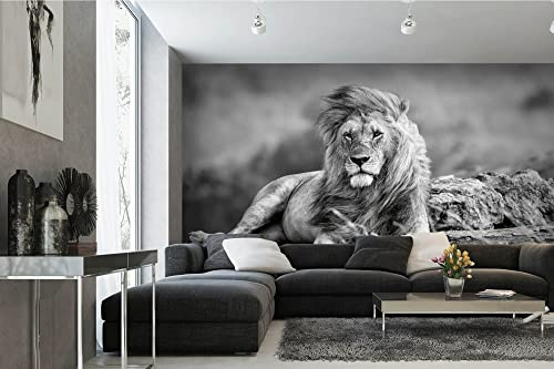Vlies Fototapete MÄCHTIGER LÖWE 375 x 250 cm (inkl. Kleister) - Vlies Tapete, Wandtapete, Wandbilder - Tapete für Wohnzimmer Schlafzimmer, Büro, Küche - Montagefertig