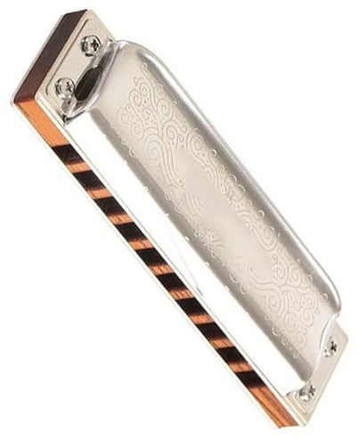 Professionelle 10-Loch diatonische Mundharmonika Blues Harp Progressive Tuning mit Holzkamminstrument Mundharmonika-Set