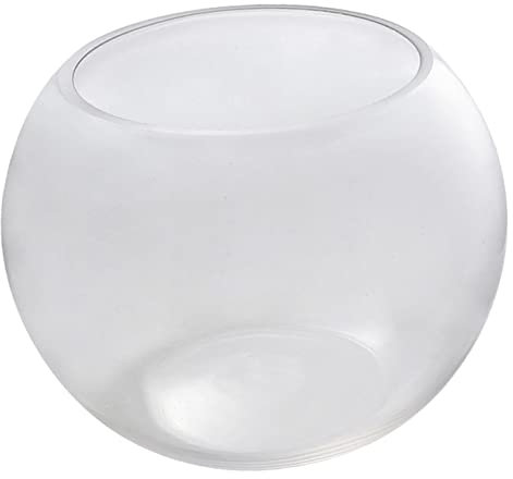 Ciieeo Runder Glasfischtank Transparenter Goldfischbehälter Für Desktop Und Büro Kleine Aquarien Für Pflanzen Und Fische Ø Ideal Für Home & Office Deko