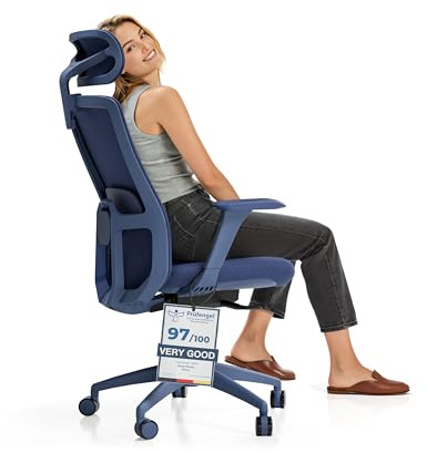 Desktronic justerbar ergonomisk kontorsstol | Skrivbordsstol med nackstöd, armstöd, svankstöd, höjdjustering - Utformad för europeiska kroppar - Ventilerande nät - Rymliga sittplatser (svart)