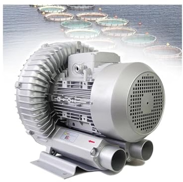 Soplador Anillo Vórtice Monofásico/trifásico, Regenerativo 120 W 7500 W Acuarios, Estanques Hidropónicos, Aireadores Fosas Sépticas, Bomba Aire Eléctrica, Aireación Aguas Residuales(750W/1.01HP)