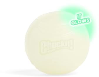 Chuckit ! Max Glow, Palla di gommafosforescente per cani, Grande