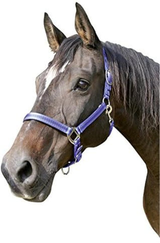 Kerbl Halfter Mustang 2-Fach verstellbar, Blau/Schwarz, 1, 321962