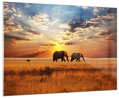 ARTTOR Bilder auf Glas 100x70cm Wandbilder Landschaften Natur - 3150