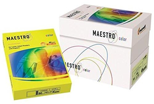 Papier 160 g mAESTRO rame de 250 feuilles a4 pour photocopieuse/imprimante à jet d'encre couleurs intenses - - Vert tilleul