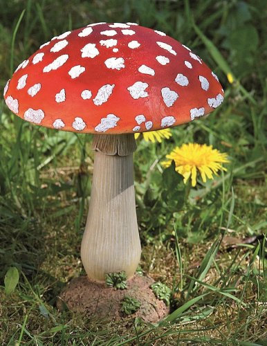 Fliegenpilz Deko Pilz Gartendeko Pilze Garten rot getupft 21 cm H 1812-2501000B