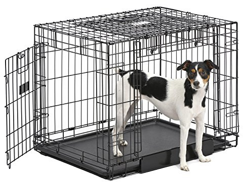 MidWest Homes for Pets Medium Ovation, gabbia a doppia porta 76 cm pieghevole in metallo per cani, porta laterale “Up & Away”, design salvaspazio